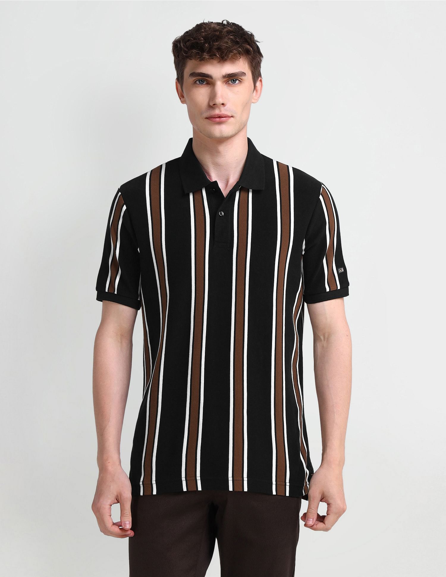 Arrow Sport Vertical Striped Regular Fit Polo Shirt