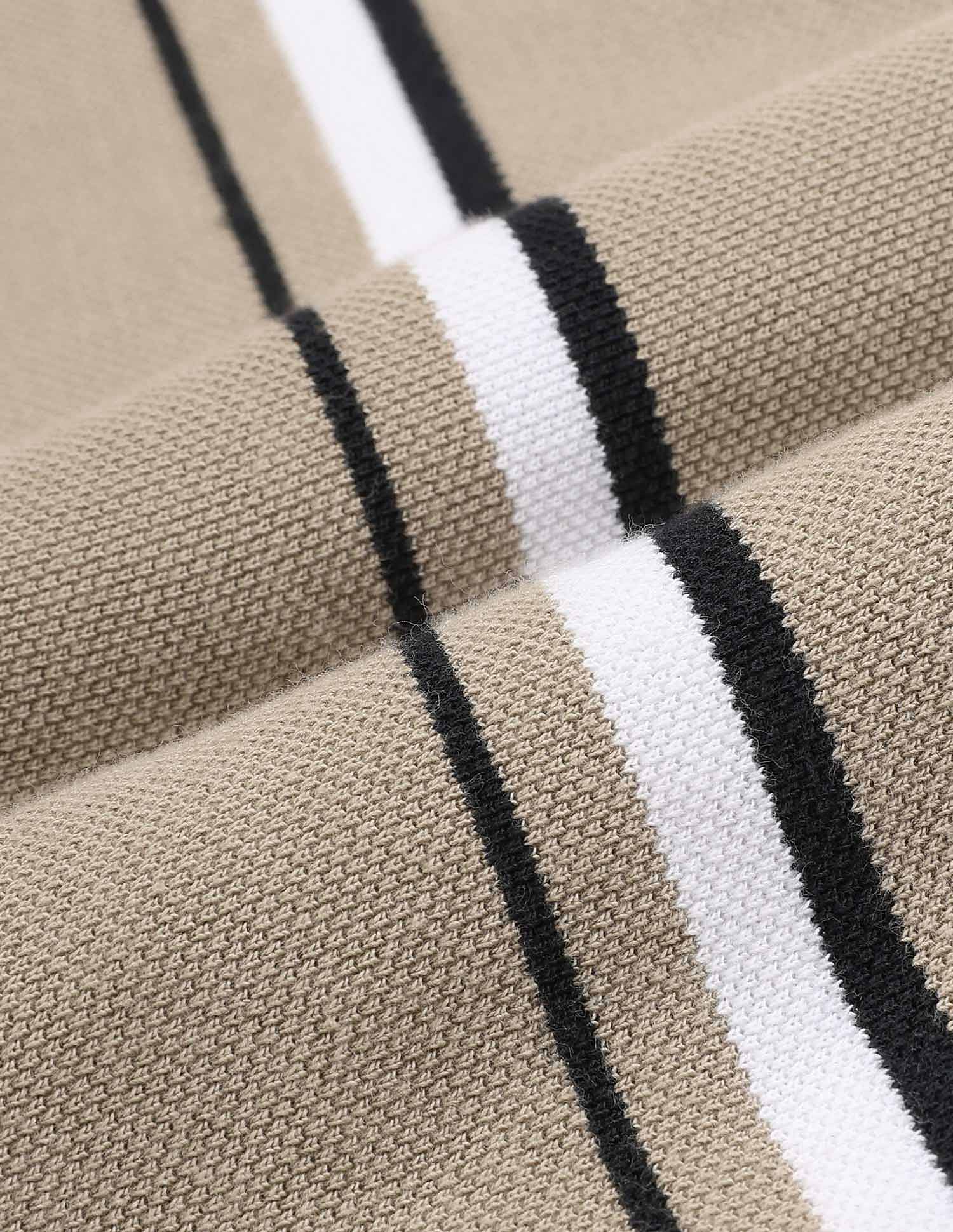 Arrow Sport Vertical Striped Regular Fit Polo Shirt