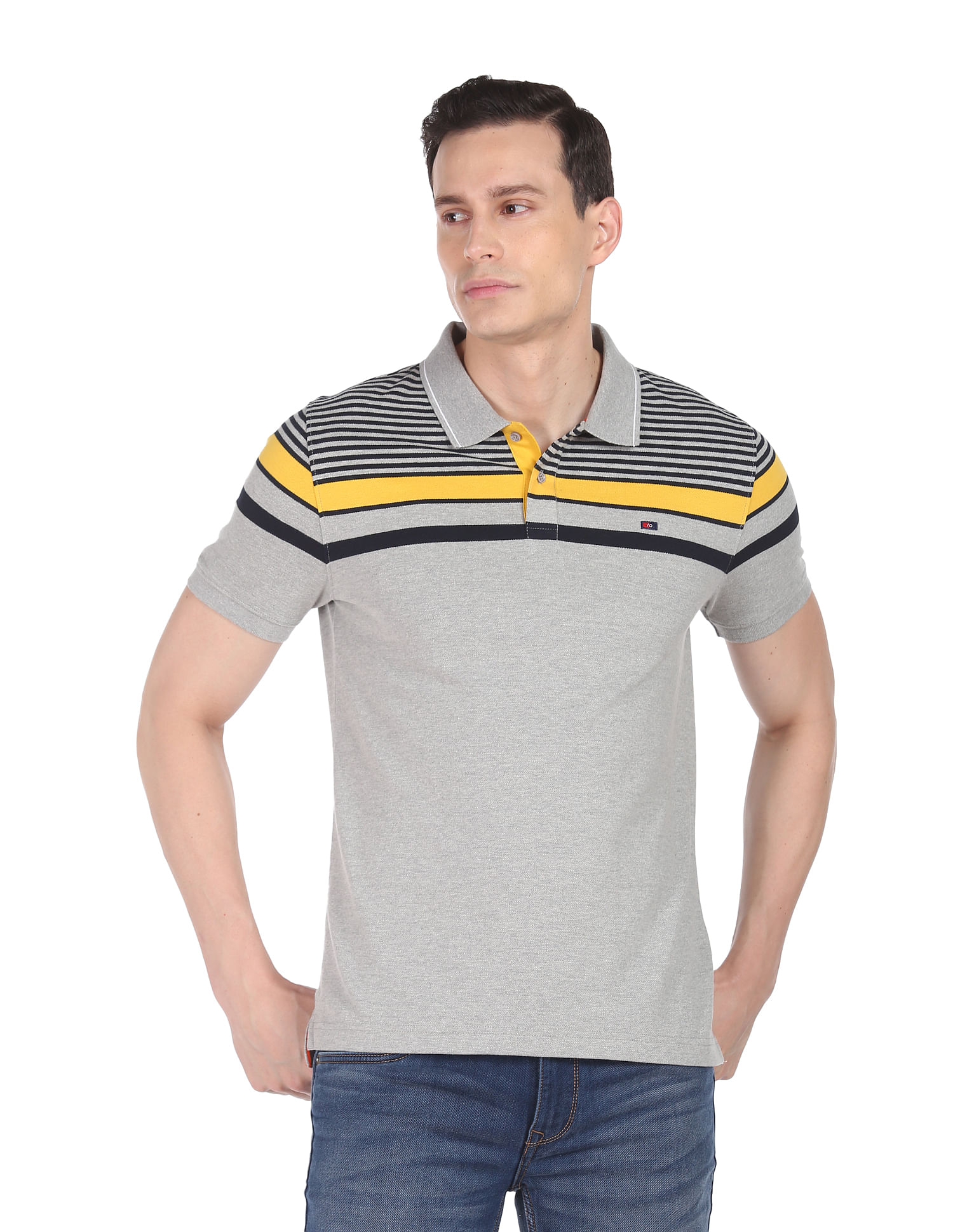 AD by Arvind Horizontal Stripe Cotton Polo Shirt