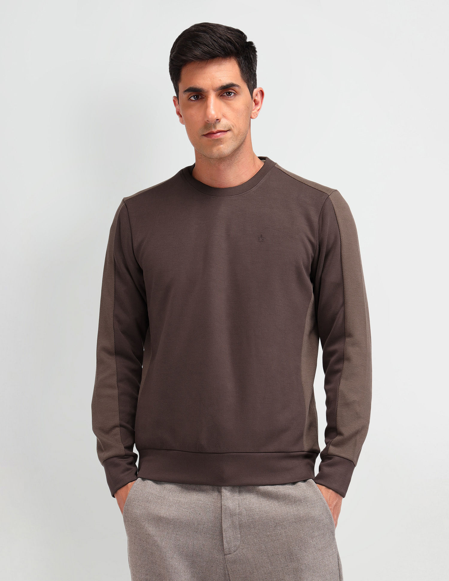 Arrow Textured Regular Fit Sweatshirt