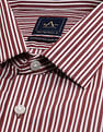Arrow Manhattan Slim Fit Cotton Shirt