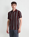 Arrow Sport Vertical Striped Regular Polo Shirt