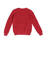 U.S. Polo Assn. Kids Boys Printed Regular Fit Sweater