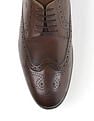 Arrow Men Alverstone 3.0 Formal Shoes
