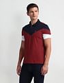 Arrow Sport Short Sleeve Colorblock Polo Shirt