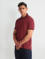 Arrow Regular Fit Cotton Polo Shirt