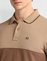 Arrow Sport Regular Fit Clourblocked Polo Shirt