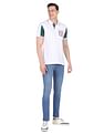 AD by Arvind Cotton Colour Block Polo Shirt